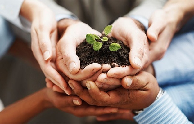 Start Building Your Company